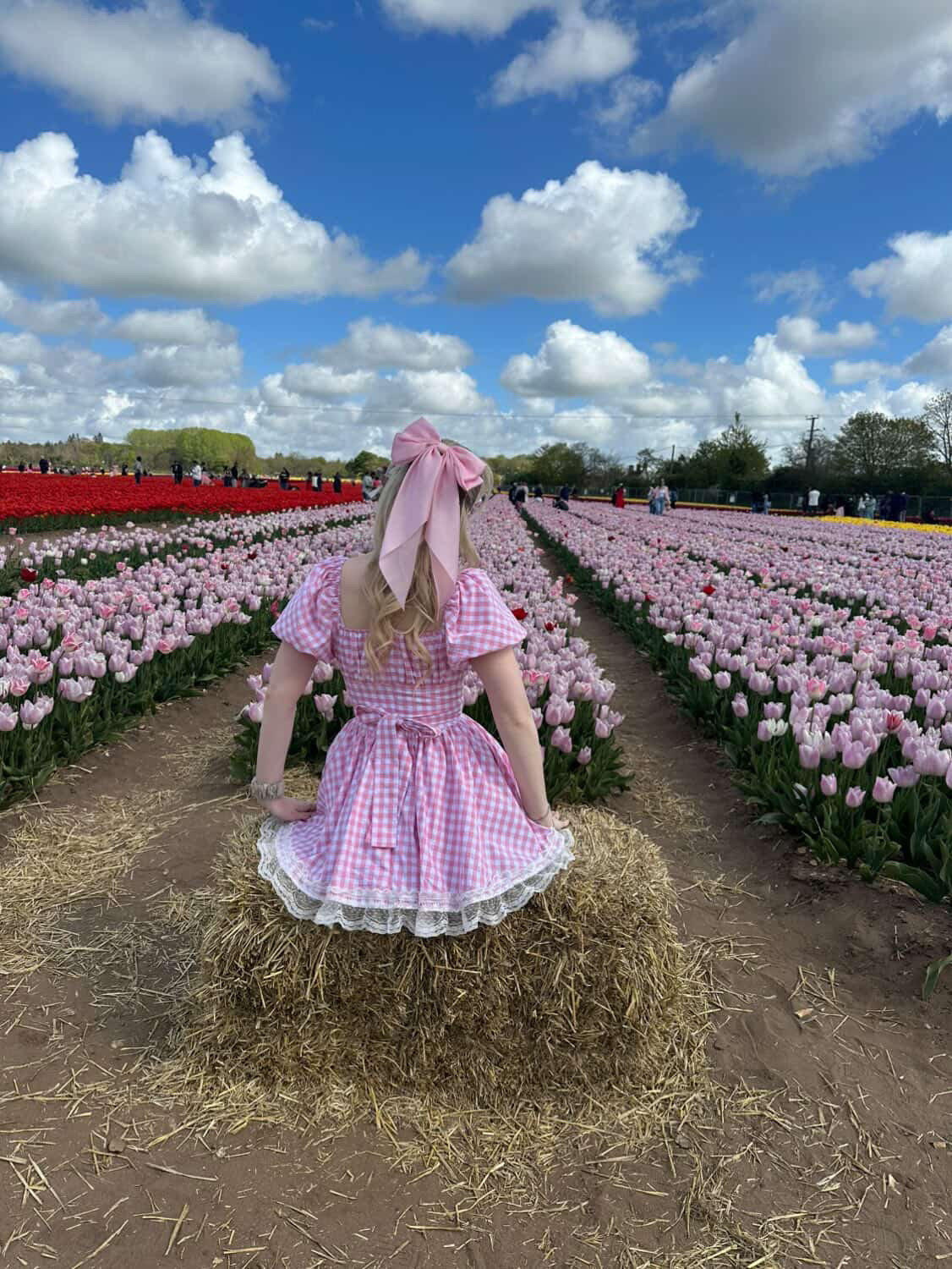 Alice Dress in Gingham Cotton [Preorder]