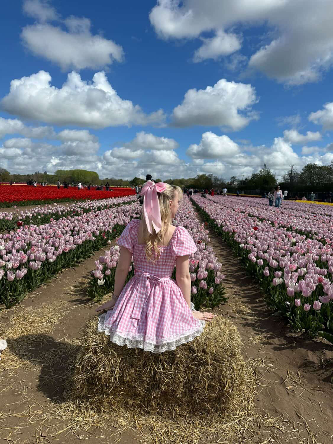Alice Dress in Gingham Cotton [Preorder]