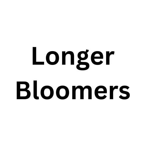 Bloomers Fit